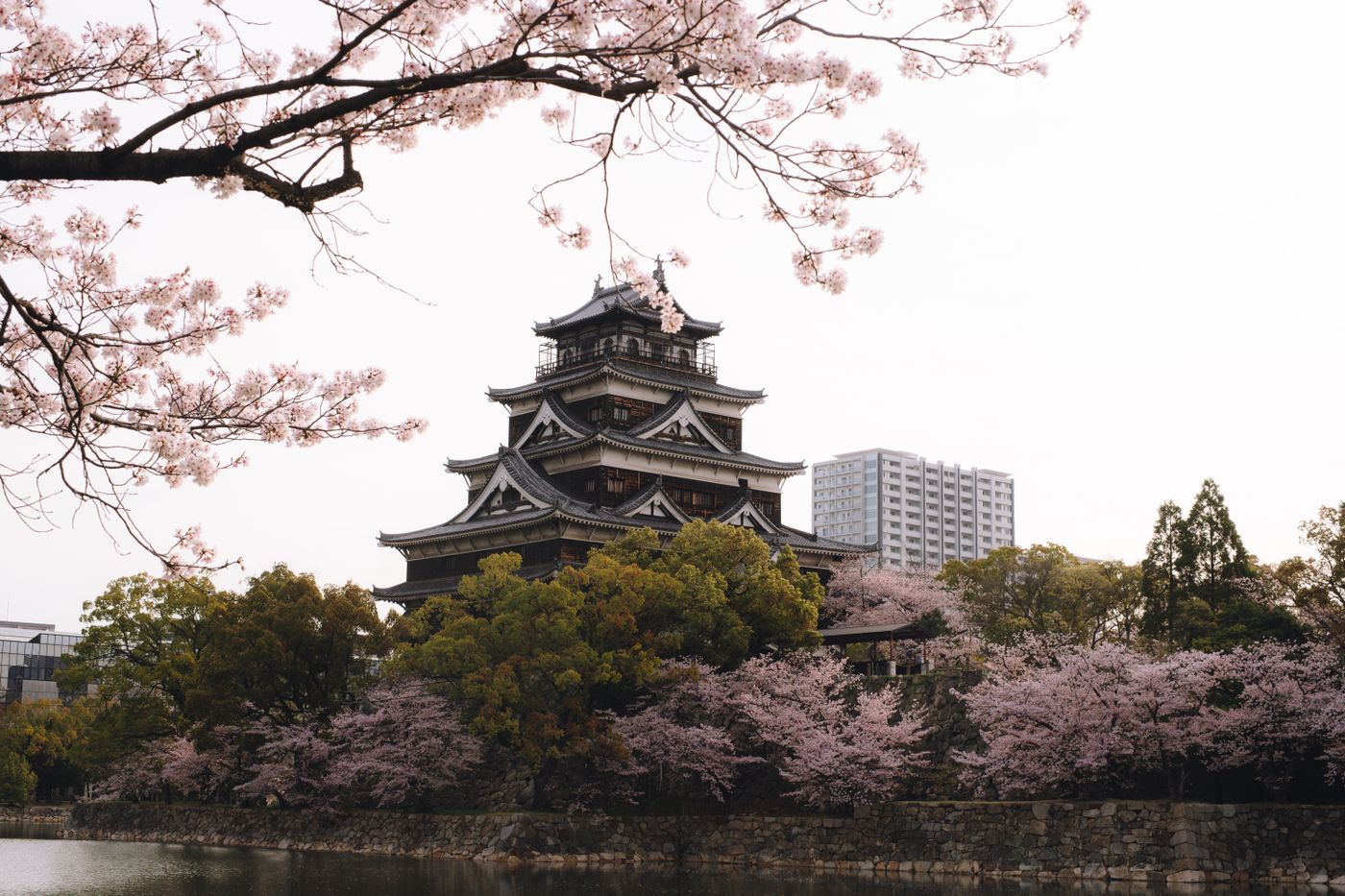 Musim bunga di sekitar Istana Hiroshima