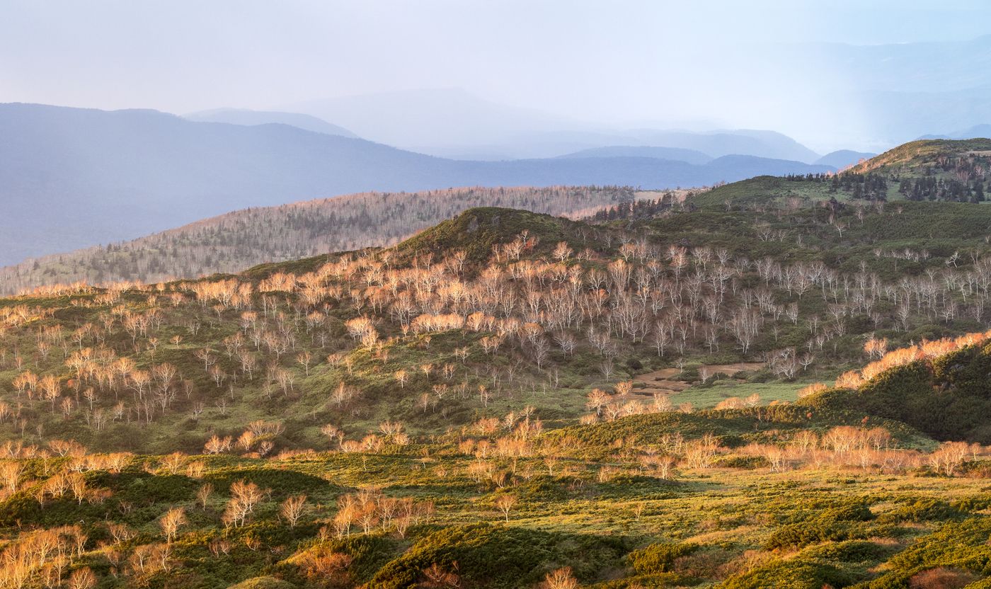 Lereng musim luruh di Hokkaido