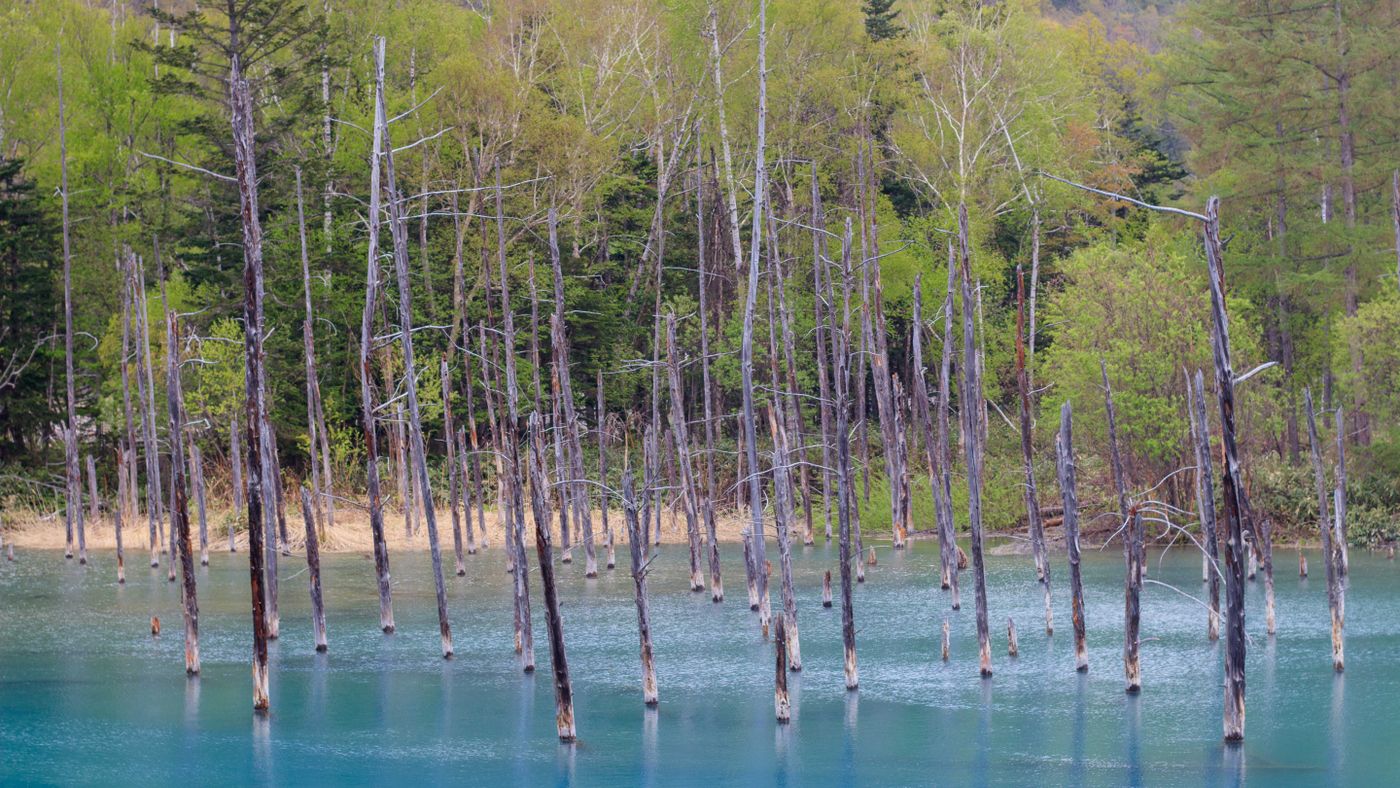 Kolam Biru di Biei