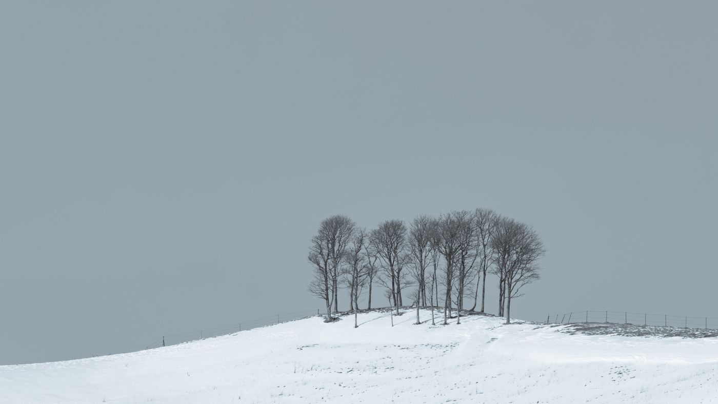 Bukit Hokkaido dilitupi salji