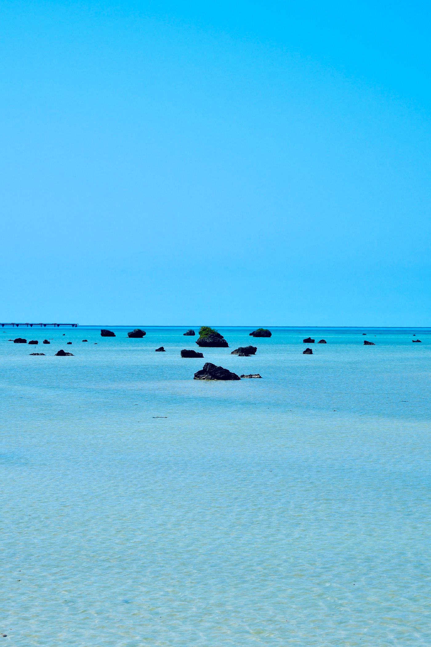 Air biru firus Okinawa