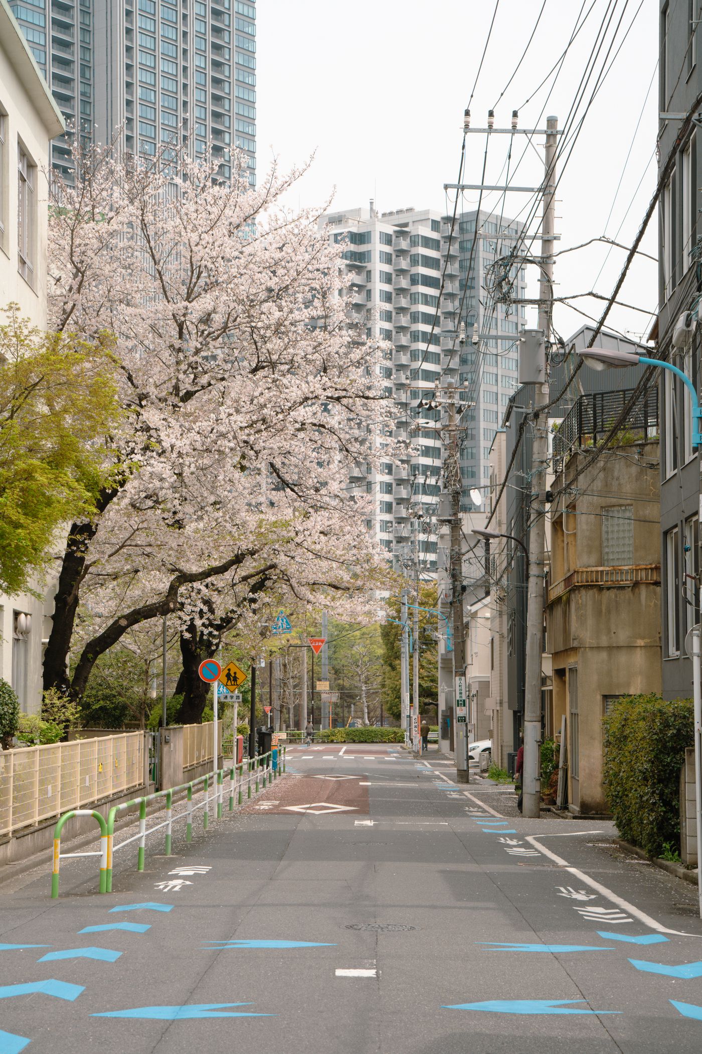 Jalan Tokyo pada musim bunga