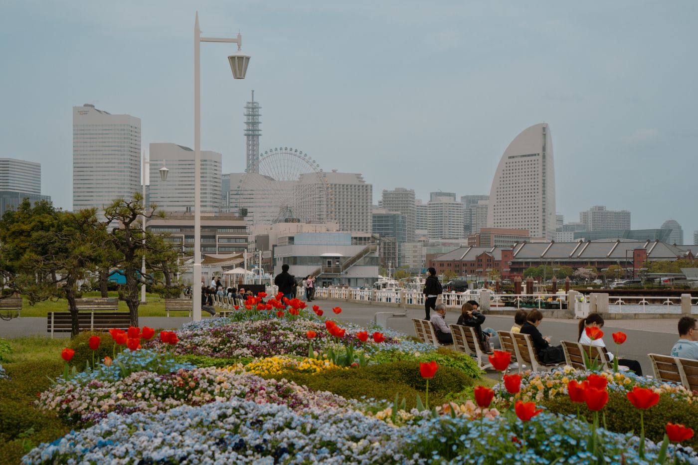 Bunga musim bunga di Yokohama