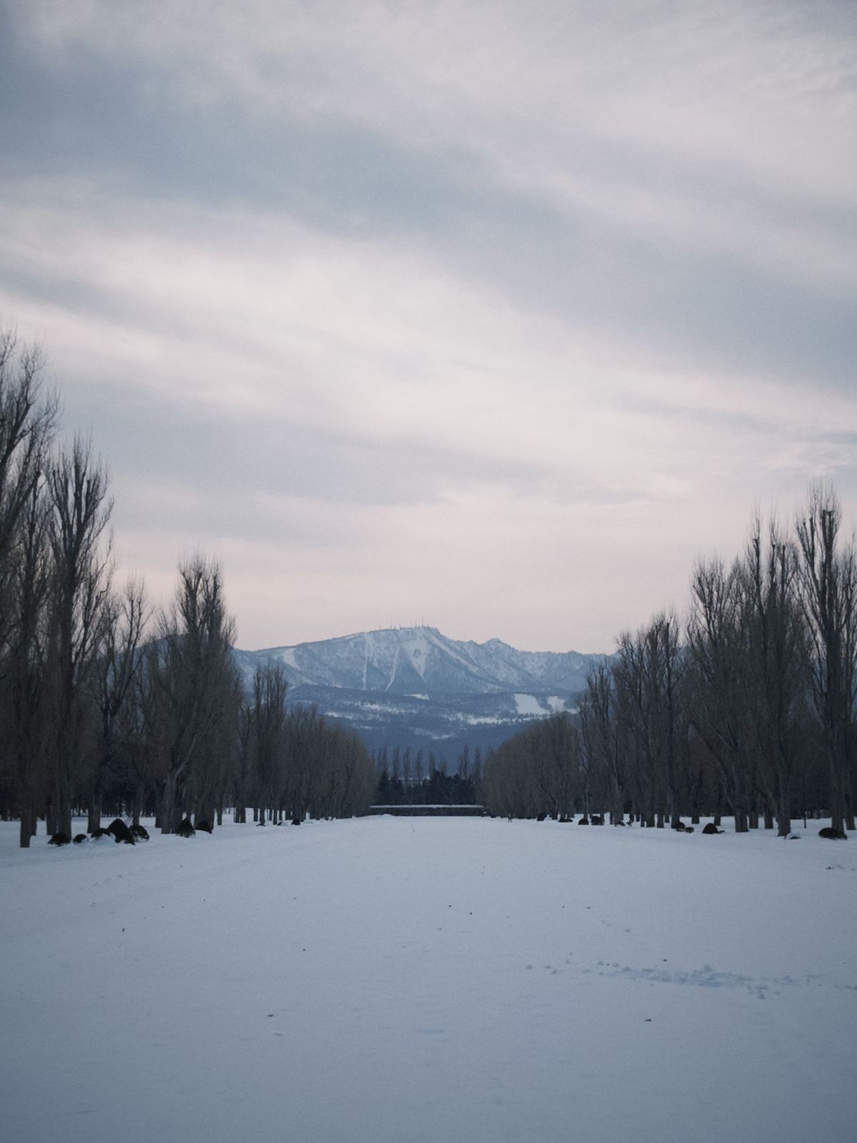 Laluan bersalji di Sapporo; keadaan berbeza mengikut hari.